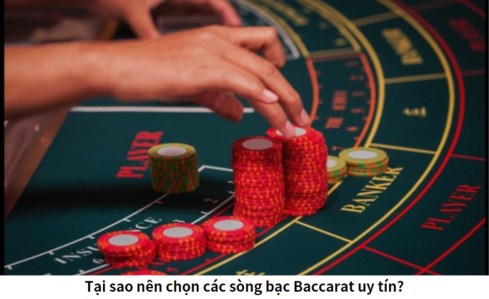 Tại sao nên chọn các sòng bạc Baccarat uy tín?